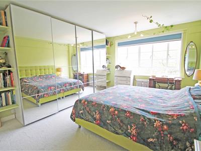 Picture 8